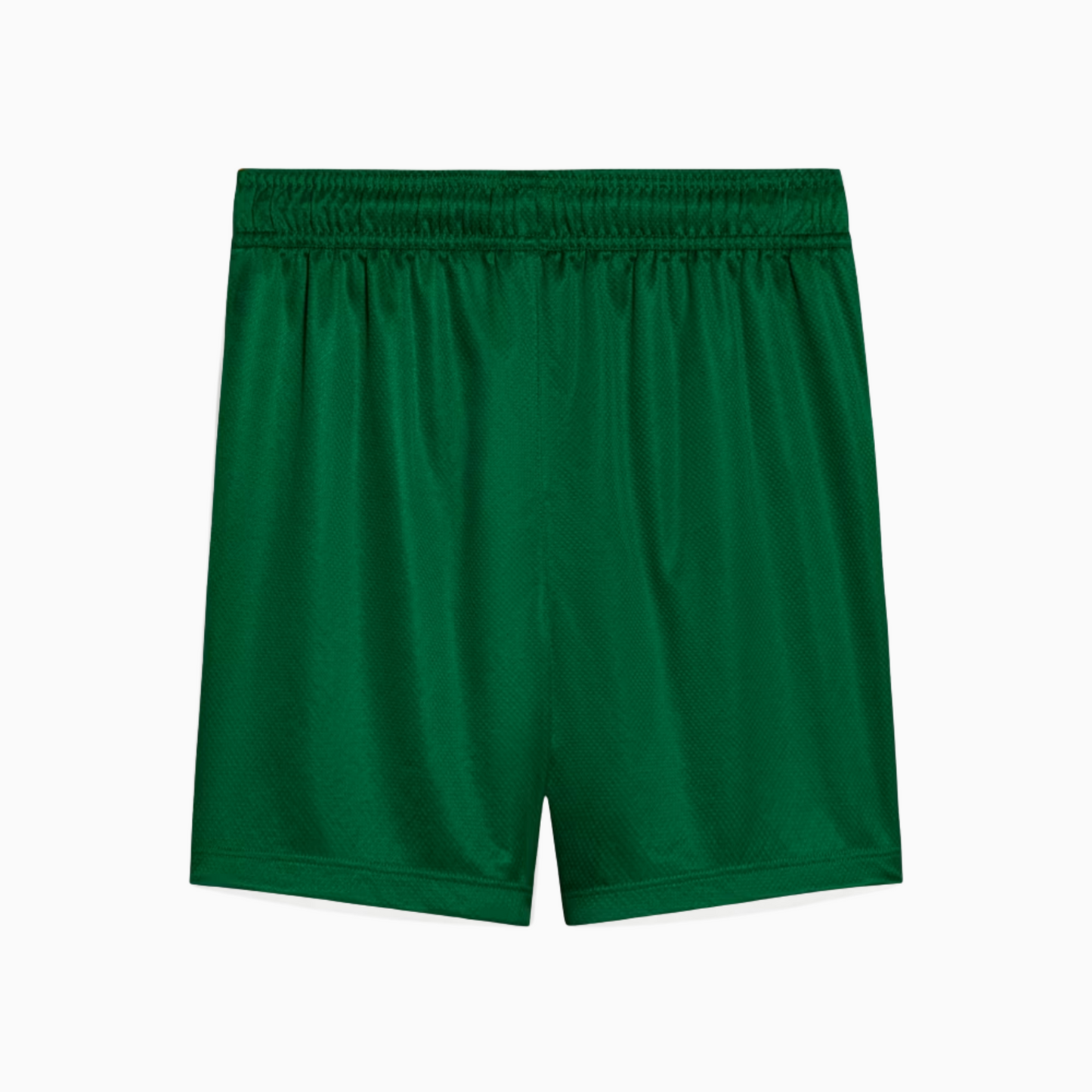 Shorts Palmeiras 2025/26 II