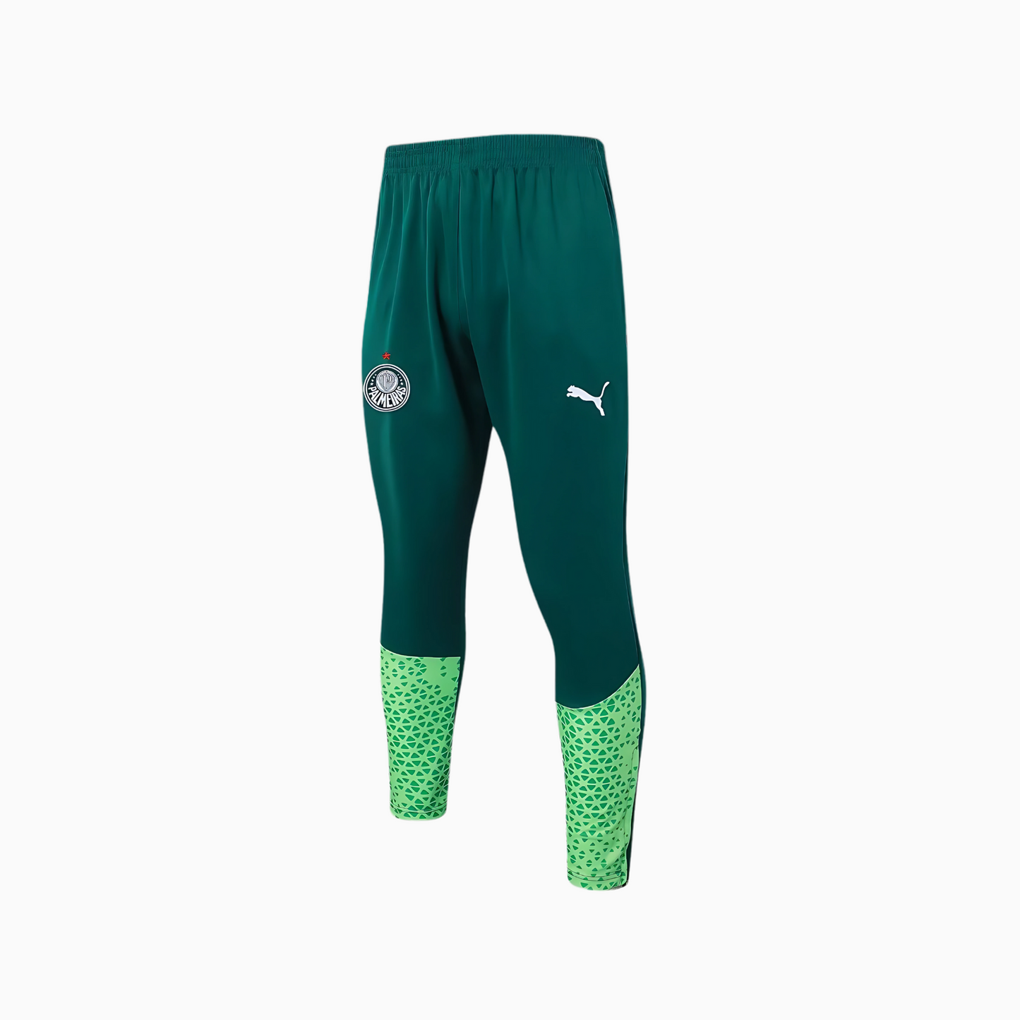 Conjunto de Treino Puma Palmeiras 2024/25 II Masculino
