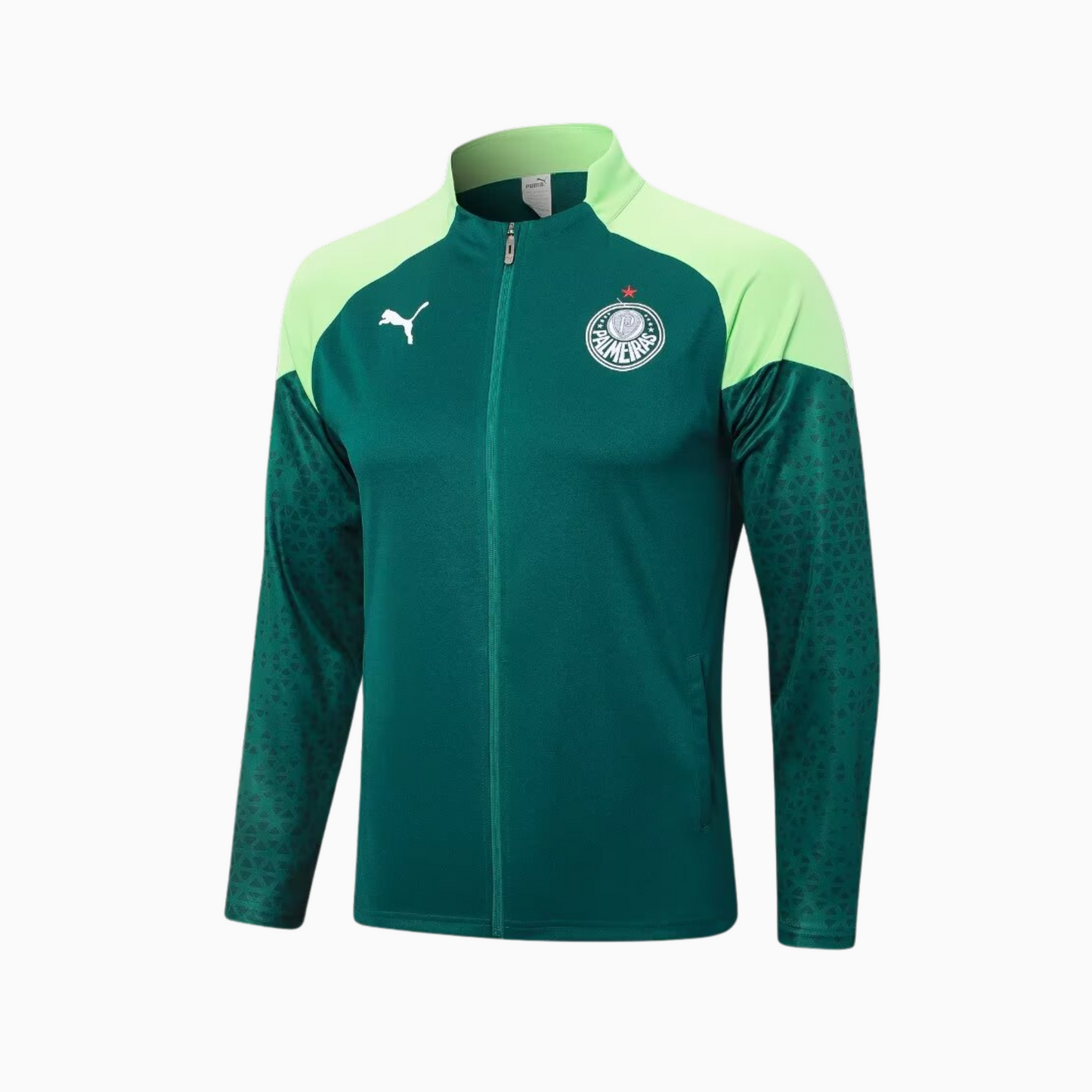 Conjunto de Treino Puma Palmeiras 2024/25 I Masculino
