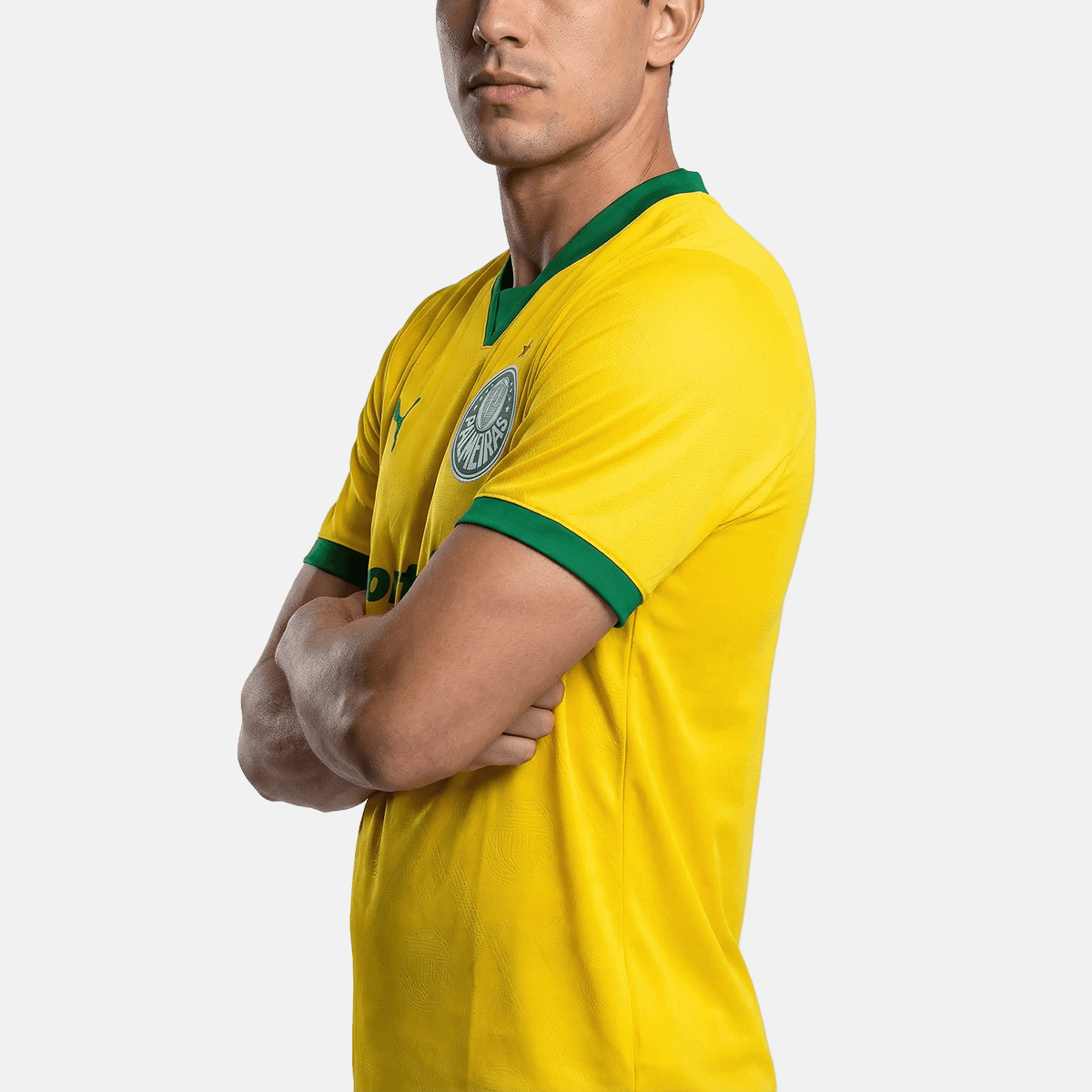 Camisa Puma Palmeiras 2025/26 III Torcedor